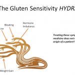 Gluten-Sensitivity-Hydra-Pic-1024x713